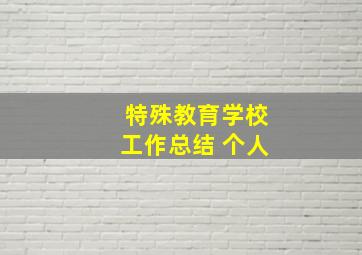 特殊教育学校工作总结 个人